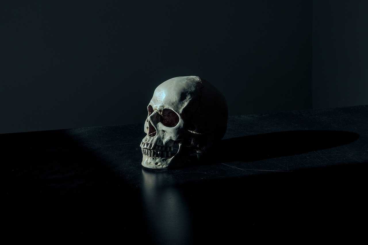 no time to die